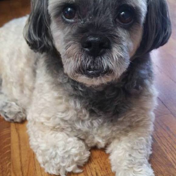 Meet your Posher, Julia - Picture 1 of 1